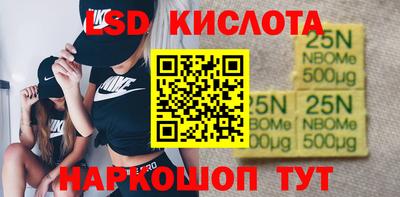 индика Сланцы
