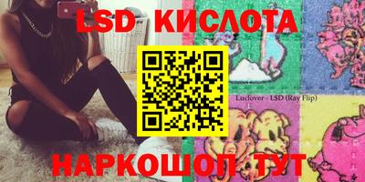индика Сланцы