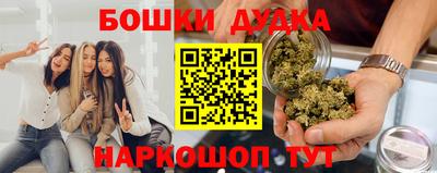 индика Сланцы