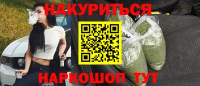 индика Сланцы