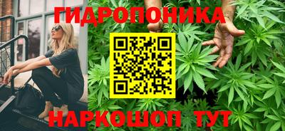 индика Сланцы