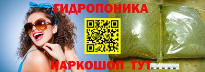 индика Сланцы
