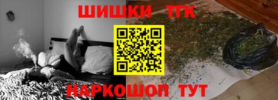 индика Сланцы