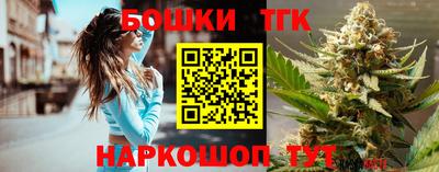 индика Сланцы